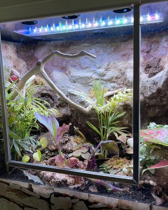 Terrario bio attivo