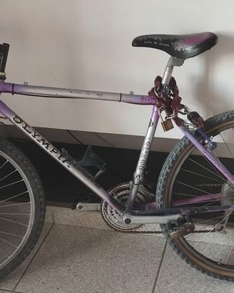 Mountain Bike uomo