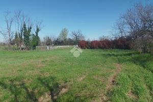 TER. AGRICOLO A MONTIRONE