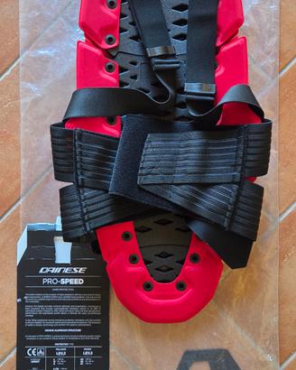 Paraschiena Dainese 