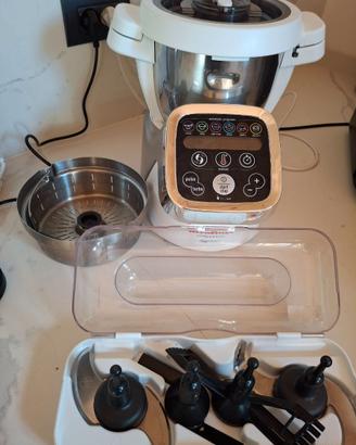 Moulinex companion