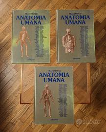 Anastasi - Trattato di Anatomia + libri omaggio