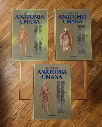 Anastasi - Trattato di Anatomia + libri omaggio