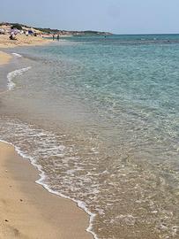 Disponibile fino al 13 luglio Salento