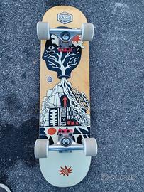 skate professionale