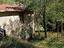 Immagine 20