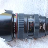 Canon 24-105 F4 L IS USM
