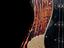 Immagine 5