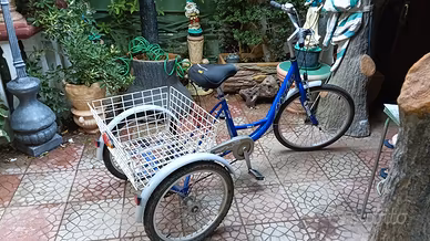 Bicicletta a tre ruote 