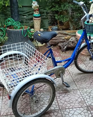 Bicicletta a tre ruote 