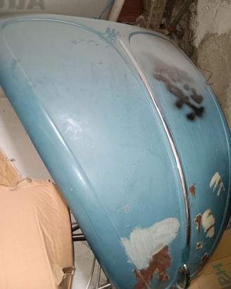 Volkswagen maggiolino