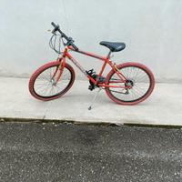 Mountain bike California 