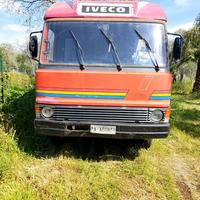 Camion commerciale