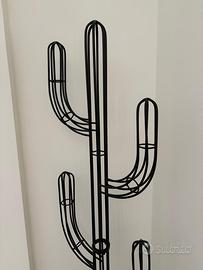 APPENDIABITI CACTUS