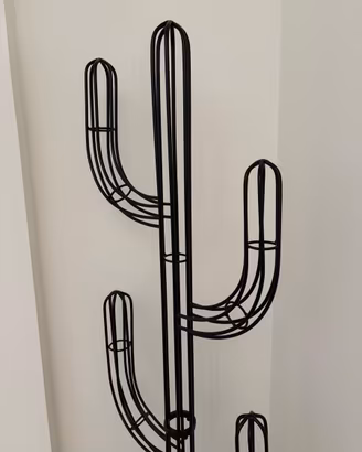 APPENDIABITI CACTUS