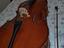 Immagine 4