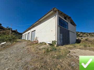 Capannone Industriale + Ampio Terreno e Rudere