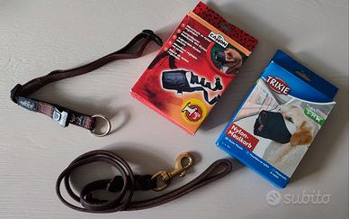 Guinzaglio, collare, museruole