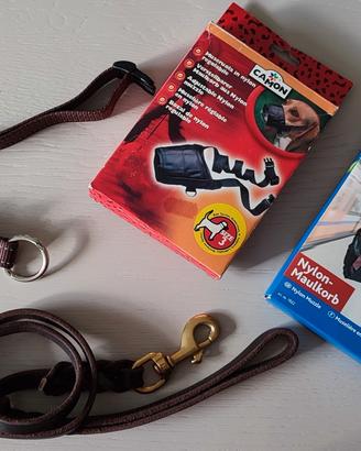 Guinzaglio, collare, museruole