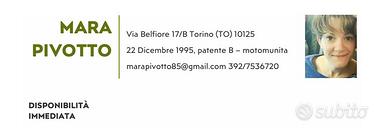 Sanitario
