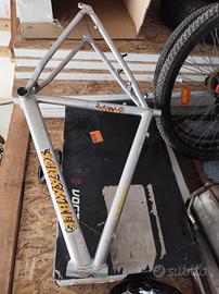 telaio mtb