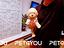 Immagine 21