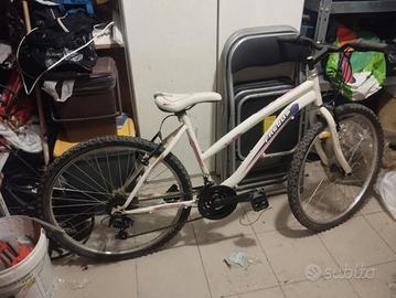 Titolo: Bicicletta da Donna / Mountain Bike FREJ