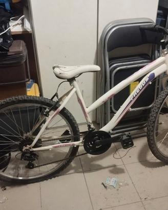 Titolo: Bicicletta da Donna / Mountain Bike FREJ