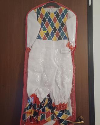 vestito da carnevale bimba