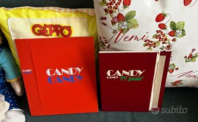 Candy Candy n2 copertine giornalini fumetti Fabbri
