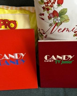 Candy Candy n2 copertine giornalini fumetti Fabbri