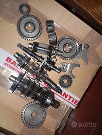 Cambio am6