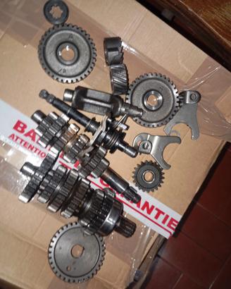 Cambio am6