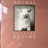 Animal di Bettina Rheims in condizioni perfette