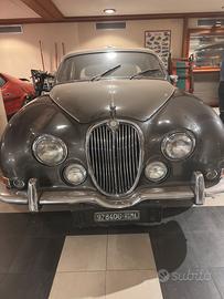 jaguar grigia 3008