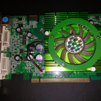 Point of view 7600GT 256Mb collezionisti