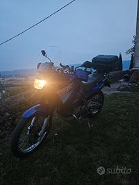 Kawasaki KLE 500 1997 # Trattabile #