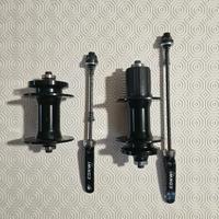 Mozzi Eonwi anteriore e posteriore