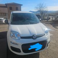 FIAT Panda 4X4 Autocarro, anno 2019