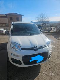 FIAT Panda 4X4 Autocarro, anno 2019