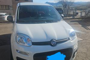 FIAT Panda 4X4 Autocarro, anno 2019