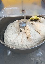 Impastatrice a Forcella professionale 220v