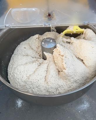 Impastatrice a Forcella professionale 220v