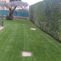 Giardiniere tuttofare