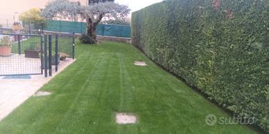 Giardiniere tuttofare