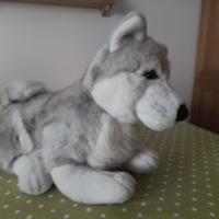 pupazzo cucciolo di cane husky  siberiano