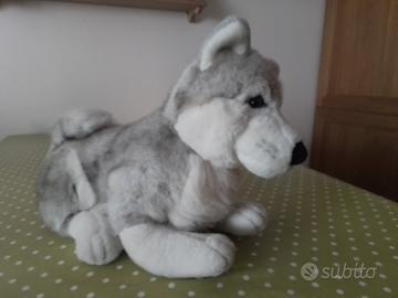 pupazzo cucciolo di cane husky  siberiano