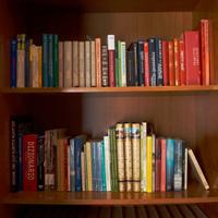 Libri sfusi