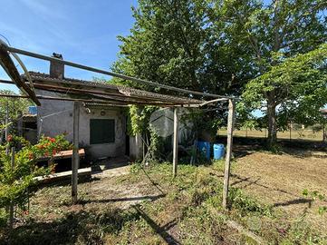 RUSTICO A PALESTRINA