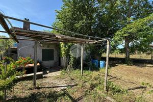 RUSTICO A PALESTRINA